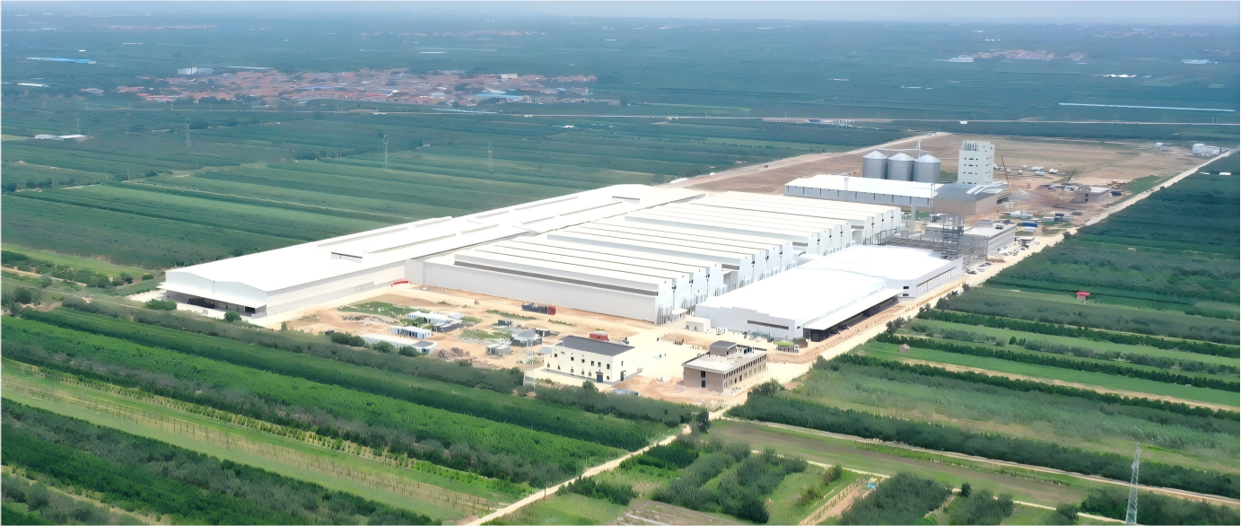 Projeto de 8 milhões de camadas