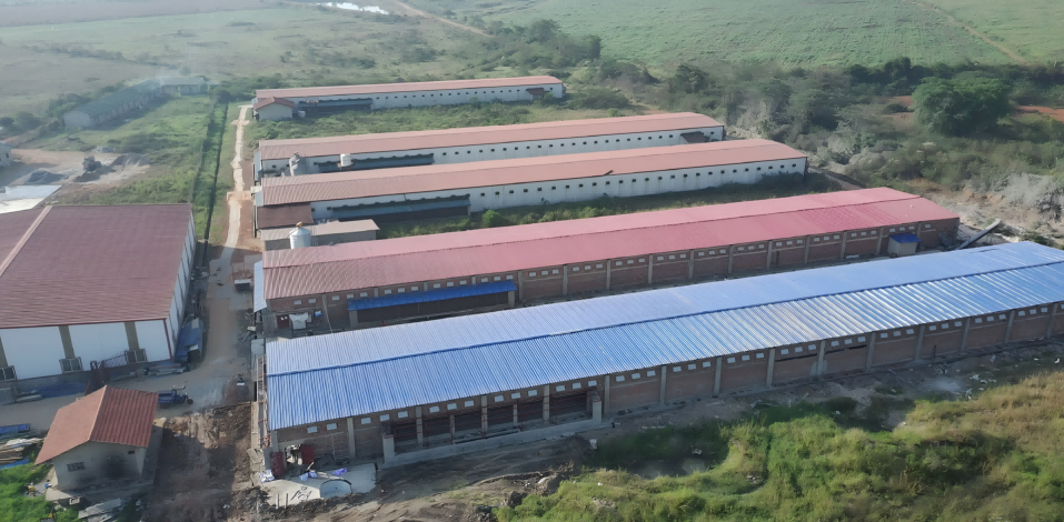 Uganda Projeto de 1 milhão de camadas