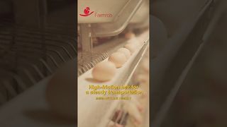Robô agrícola | Coleta estável de ovos com taxa de quebra de 0,2% #avícola #frango #produtosdefábrica
