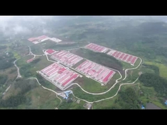 Sistema de Gaiola em Bateria para Aves