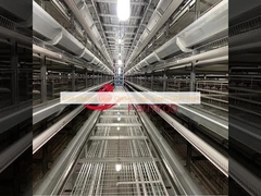 Sistema de Gaiola para Galinhas Poedeiras em Camadas Econômico Q235 Aço