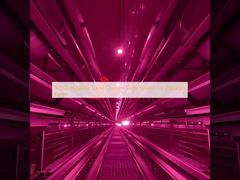 80000 Sistema de gaiolas de galinha de camada higiênica para fazendas paquistanesas