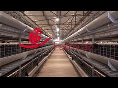 Robô agrícola | Gaiola reprodutora para inseminação artificial