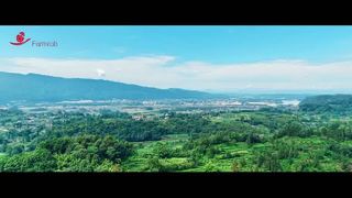 Robô agrícola | Projeto de 1 milhão de camadas em Sichuan