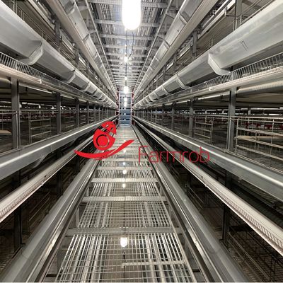 434 cm2 Area Q235 Steel Layer Chicken Cage System with 700mm Story Height